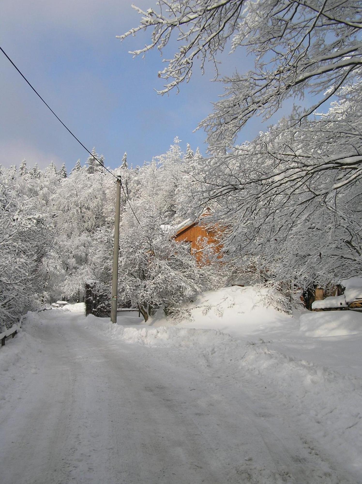 Penzion U Strakateho Kone Blansko Exterior photo
