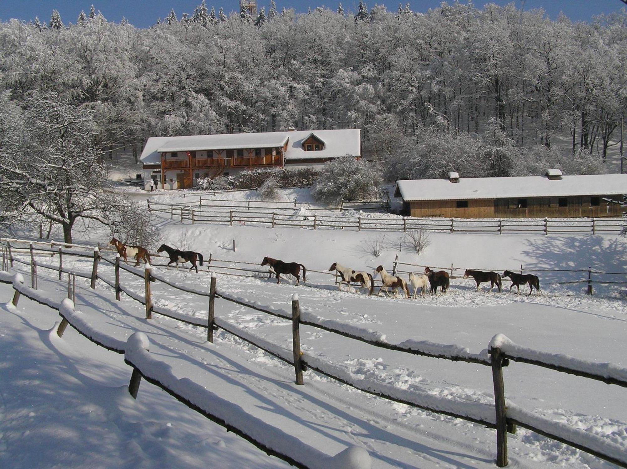 Penzion U Strakateho Kone Blansko Exterior photo
